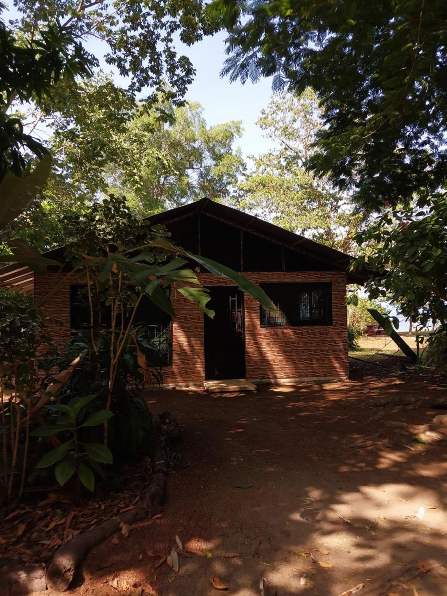 Villa Happy Monkeys à Puerto Jiménez Extérieur photo