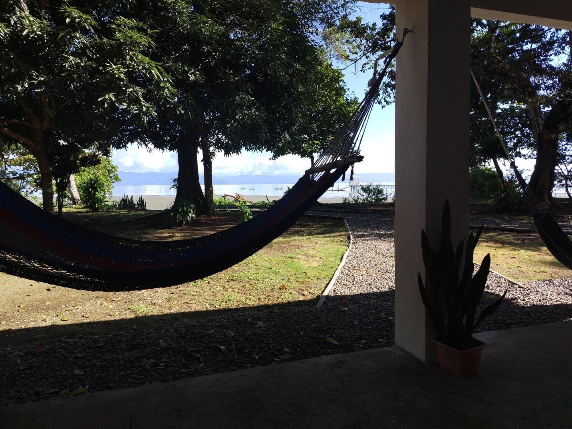 Villa Happy Monkeys à Puerto Jiménez Extérieur photo