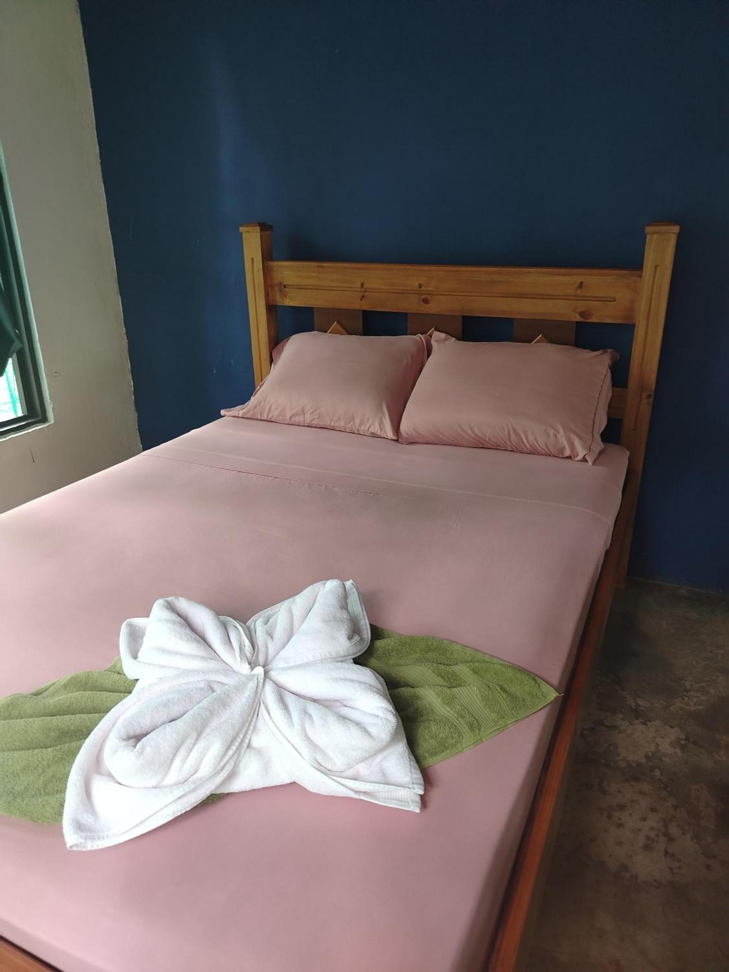 Villa Happy Monkeys à Puerto Jiménez Extérieur photo
