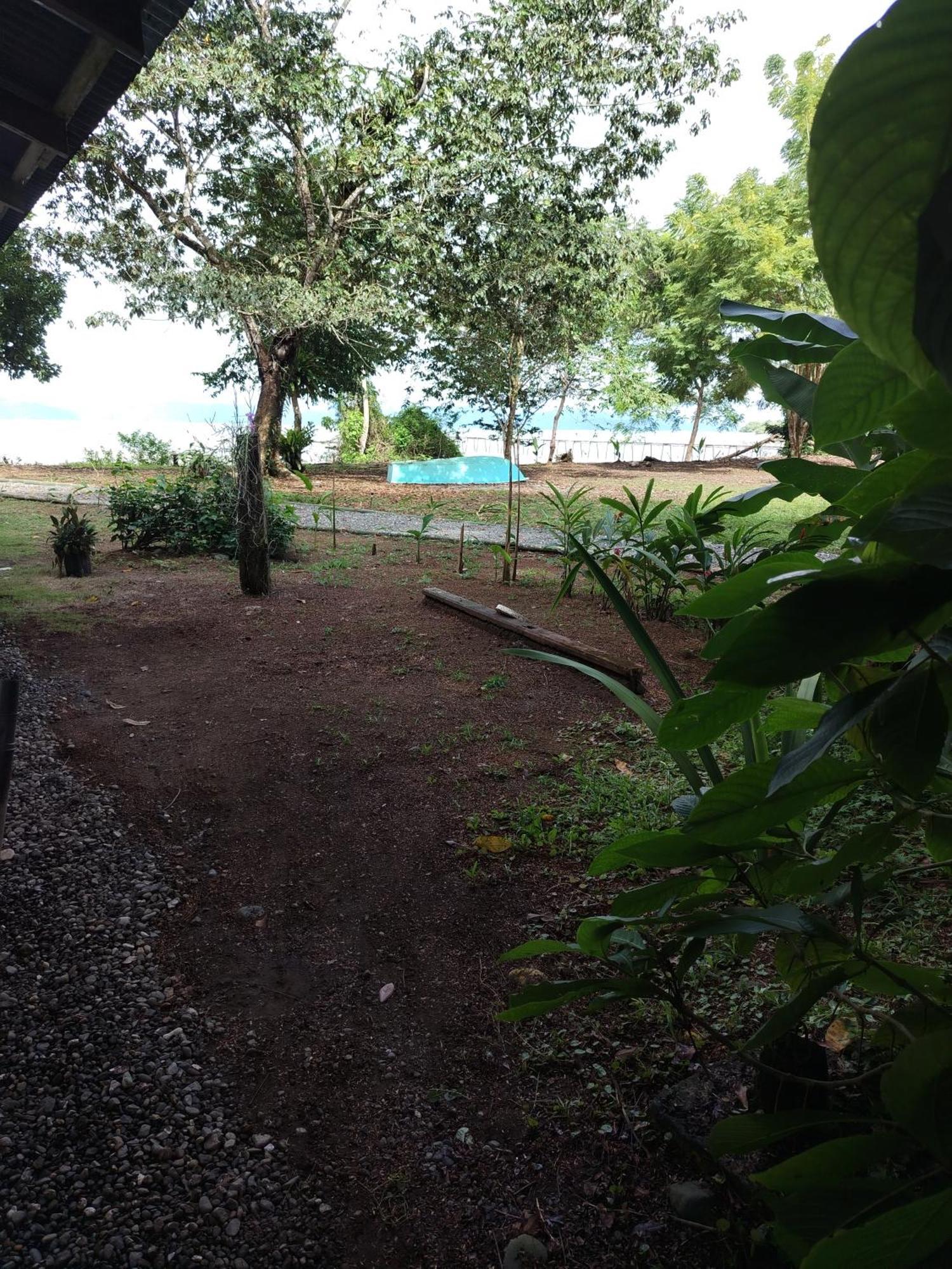 Villa Happy Monkeys à Puerto Jiménez Extérieur photo