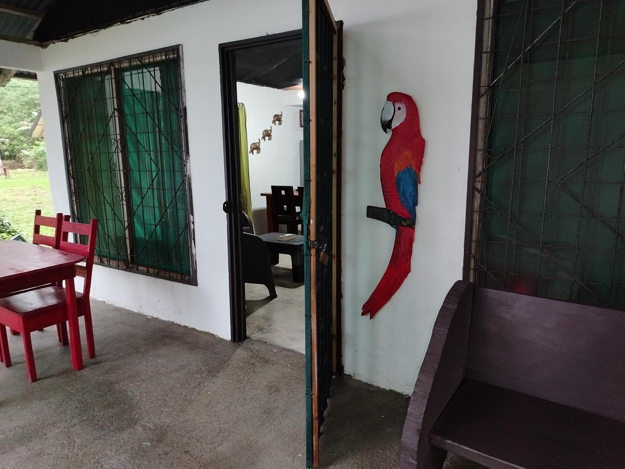 Villa Happy Monkeys à Puerto Jiménez Extérieur photo